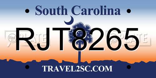 RJT8265 South Carolina License Plate