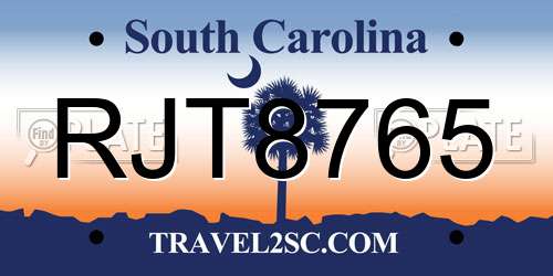RJT8765 South Carolina License Plate
