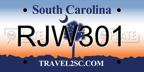RJW301 South Carolina License Plate