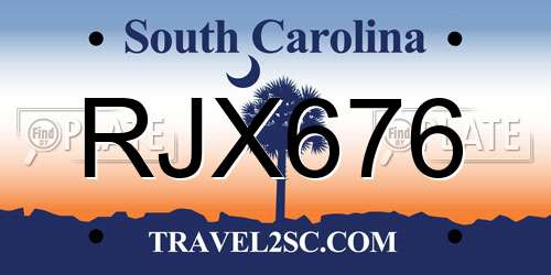 RJX676 South Carolina License Plate