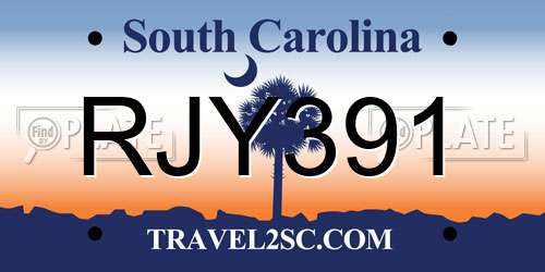 RJY391 South Carolina License Plate