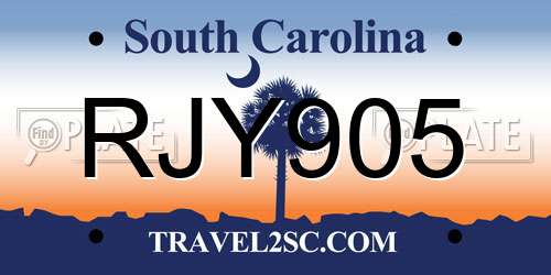 RJY905 South Carolina License Plate