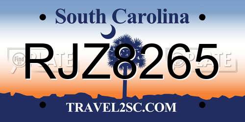 RJZ8265 South Carolina License Plate