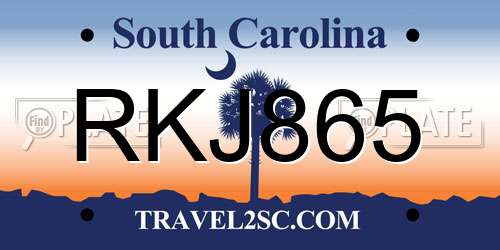 RKJ865 South Carolina License Plate
