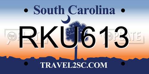RKU613 South Carolina License Plate