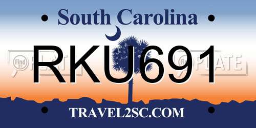 RKU691 South Carolina License Plate