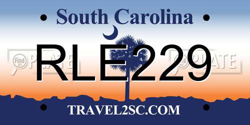 RLE229 South Carolina License Plate