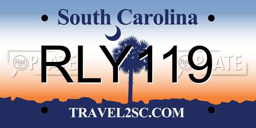 RLY119 South Carolina License Plate