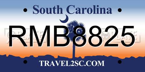 RMB8825 South Carolina License Plate