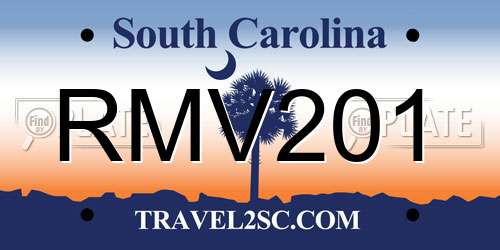 RMV201 South Carolina License Plate