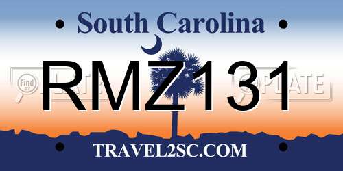RMZ131 South Carolina License Plate