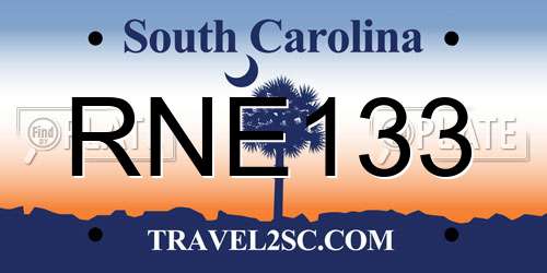 RNE133 South Carolina License Plate