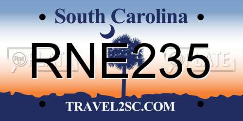 RNE235 South Carolina License Plate