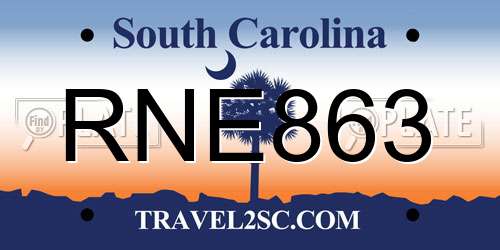 RNE863 South Carolina License Plate