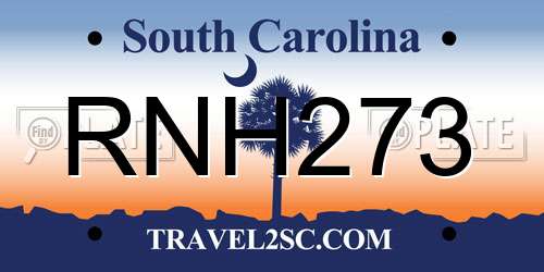 RNH273 South Carolina License Plate