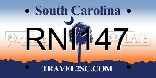 RNI147 South Carolina License Plate