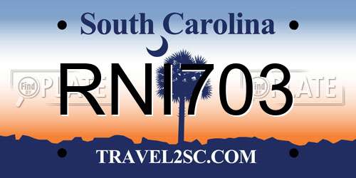 RNI703 South Carolina License Plate
