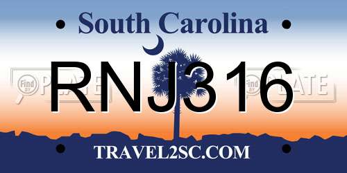 RNJ316 South Carolina License Plate