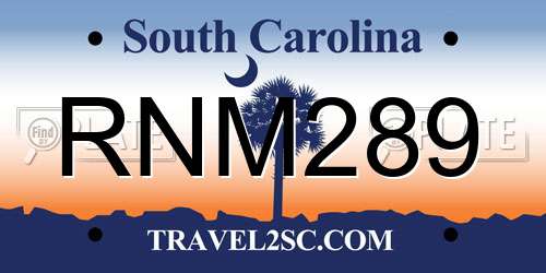 RNM289 South Carolina License Plate