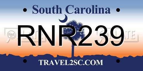 RNR239 South Carolina License Plate