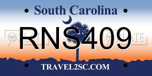 RNS409 South Carolina License Plate