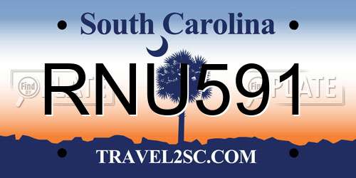 RNU591 South Carolina License Plate