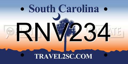 RNV234 South Carolina License Plate