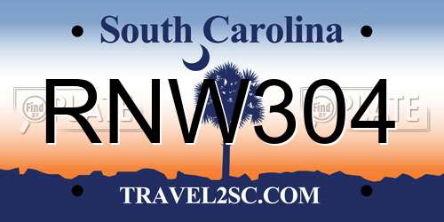 RNW304 South Carolina License Plate