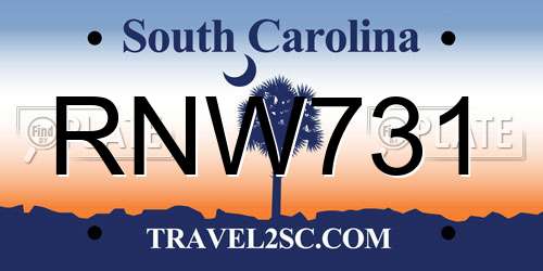 RNW731 South Carolina License Plate