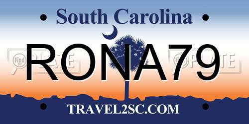 RONA79 South Carolina License Plate
