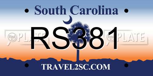 RS381 South Carolina License Plate