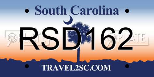 RSD162 South Carolina License Plate