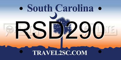 RSD290 South Carolina License Plate