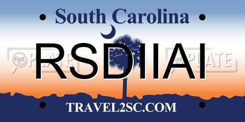 RSDIIAI South Carolina License Plate