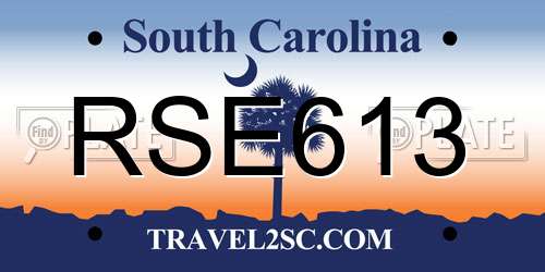 RSE613 South Carolina License Plate