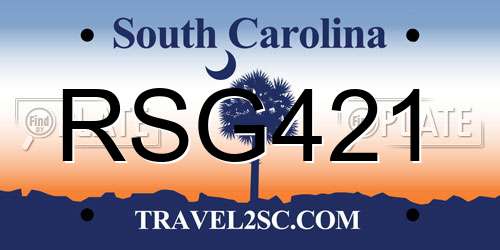 RSG421 South Carolina License Plate