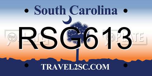 RSG613 South Carolina License Plate