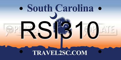 RSI310 South Carolina License Plate