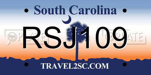 RSJ109 South Carolina License Plate