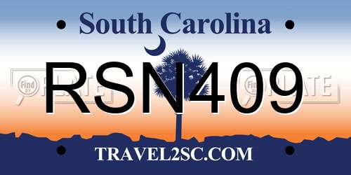 RSN409 South Carolina License Plate