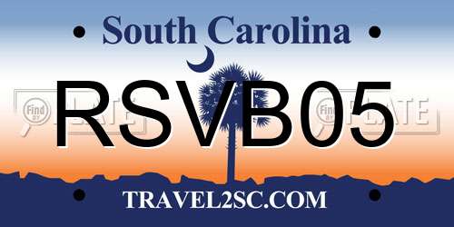 RSVB05 South Carolina License Plate