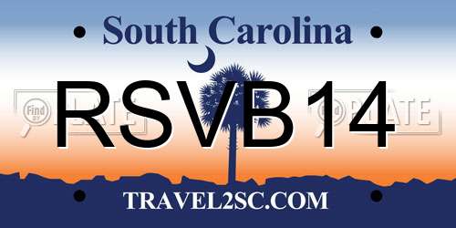 RSVB14 South Carolina License Plate