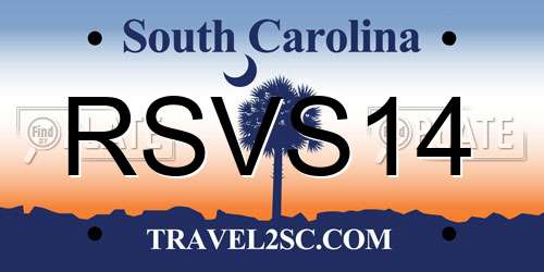 RSVS14 South Carolina License Plate