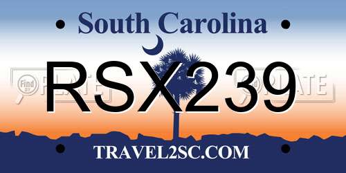 RSX239 South Carolina License Plate