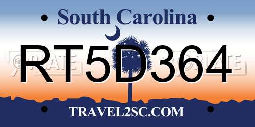 RT5D364 South Carolina License Plate