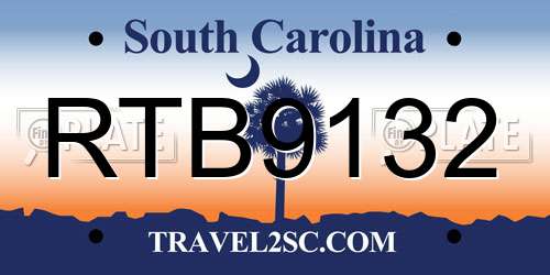 RTB9132 South Carolina License Plate