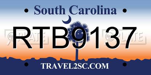 RTB9137 South Carolina License Plate