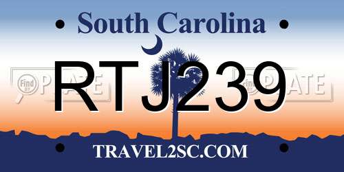 RTJ239 South Carolina License Plate
