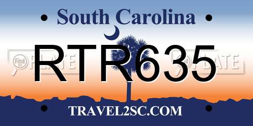 RTR635 South Carolina License Plate
