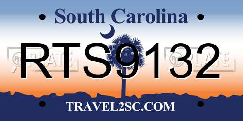 RTS9132 South Carolina License Plate